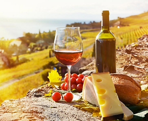 Barossa Valley Private Wine Tour