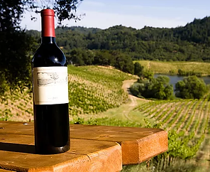 Adelaide Hills Winery Cellar Doors