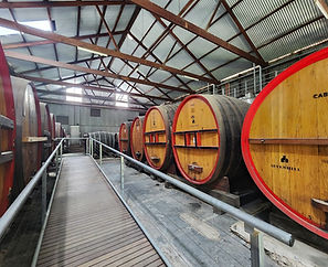 Beer, Wine and Gin Tastings