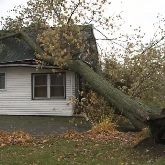 A large tree fallen onto a house, causing significant roof and structural damage from a storm